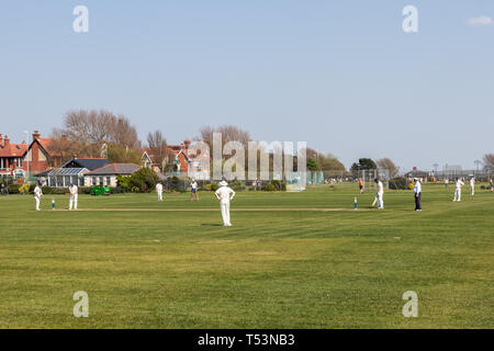 Village Cricket Match stattfindet, in der Frühlingssonne Stockfoto