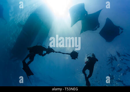 Diver Blicke bis zu 3 Mantas schwimmen in Bildung, ein Taucher, Kameramann, Boot, und Schule der Fische Stockfoto