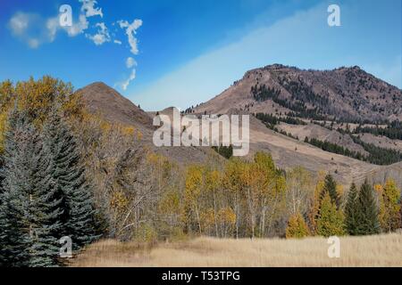 Idaho Landschaft, wo einige der Hinterkante der Schafe Festival auftreten Stockfoto