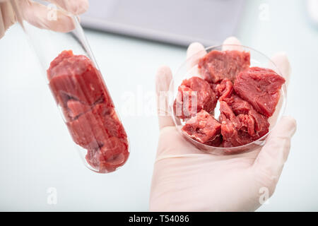 Nahaufnahme der Wissenschaftler Hände halten rohes Fleisch im Reagenzglas und Petrischale Stockfoto