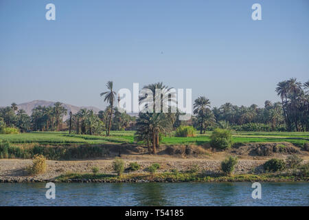 Nil, Ägypten: fruchtbare Felder von Pflanzen, Palmen und ein Minarett auf dem Westufer des Nil. Stockfoto