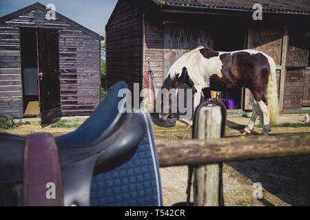 Kent, UK. Pferd Sattel aufliegt und auf einem Zaun Tack. Stockfoto