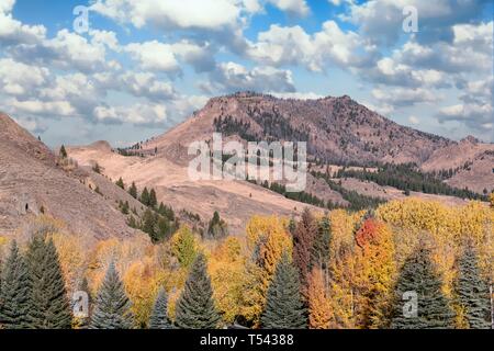 Idaho Landschaft, wo einige der Hinterkante der Schafe Festival auftreten Stockfoto