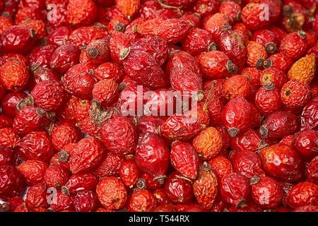 Trockene Hagebutten. Stockfoto