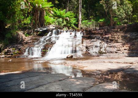 Liffey fällt Ergiesst sich mehrere Terrassen auf großen Platten von flachen Felsen und ist einer der schönsten Wasserfälle in Tasmanien, Australien. Stockfoto