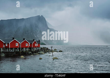 Das rote Fachwerkhaus Rorbu's/Fischer Hütten und ein Kormoran in Hamnoy Fischerdorf und Landschaft auf Moskenesøya, Lofoten Nordland in Norwegen. Stockfoto