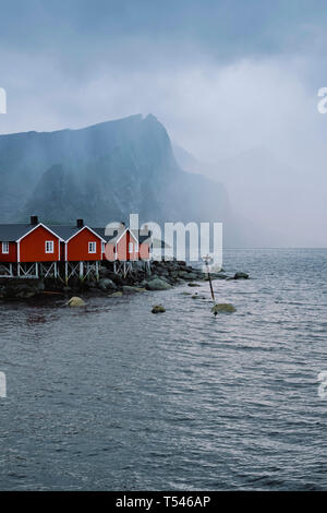 Das rote Fachwerkhaus Rorbu's/Fischer Hütten und ein Kormoran in Hamnoy Fischerdorf und Landschaft auf Moskenesøya, Lofoten Nordland in Norwegen. Stockfoto