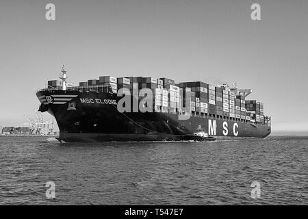 Schwarz-weiß-Foto des Containerschiffs MSC ELODIE, begleitet von Schleppern, auf dem Weg zum Long Beach Container Terminal, Kalifornien, USA. Stockfoto