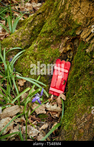 Eingang in die Basis der großen Baum als Tor zur Natur abstrakt Stockfoto