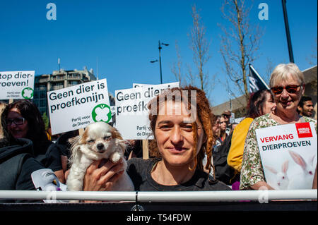 Rotterdam, Südholland, Niederlande. 20 Apr, 2019. Eine Frau gesehen, die einen kleinen Hund während der Demonstration. Die nichtstaatliche Organisation "Tierrechte" eine Demonstration für den Ersatz von Tierversuchen organisiert. Hunderte von Menschen in der Innenstadt von Rotterdam gesammelt an die niederländische Regierung zu fordern Stopp Subventionierung Tierversuche und andere Alternativen. Credit: Ana Fernandez/SOPA Images/ZUMA Draht/Alamy leben Nachrichten Stockfoto
