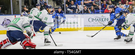 Jacksonville, USA. 19 Apr, 2019. Jacksonville Eisgruben steigt vorwärts Cam Maclise (8), rechts, ein Tor Vergangenheit Florida Everblades defenseman Justin Wade (20) und Torwart Jeremy Helvig (60) während der ersten Zeit der ein echl Professional Hockey Endspiel Spiel am Veterans Memorial Arena in Jacksonville, Fla., Freitag, 19 April, 2019. (Gary Lloyd McCullough/Cal Sport Media) Credit: Cal Sport Media/Alamy leben Nachrichten Stockfoto