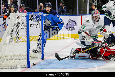 Jacksonville, USA. 19 Apr, 2019. Jacksonville Eisgruben steigt vorwärts Cam Maclise (8) Watch sein Schuss das Netz für ein Ziel ein, der während des ersten Anwendungszeitraums der ein echl Professional Hockey Endspiel Spiel gegen die Florida Everblades am Veterans Memorial Arena in Jacksonville, Fla., Freitag, 19 April, 2019. (Gary Lloyd McCullough/Cal Sport Media) Credit: Cal Sport Media/Alamy leben Nachrichten Stockfoto