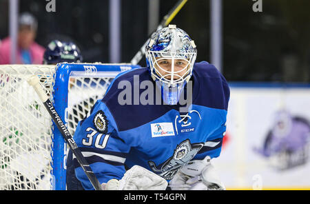 Jacksonville, USA. 19 Apr, 2019. Jacksonville Eisgruben steigt Torwart Michail Berdin (30) während des zweiten Zeitraums von ein echl Professional Hockey Endspiel Spiel gegen die Florida Everblades am Veterans Memorial Arena in Jacksonville, Fla., Freitag, 19 April, 2019. (Gary Lloyd McCullough/Cal Sport Media) Credit: Cal Sport Media/Alamy leben Nachrichten Stockfoto