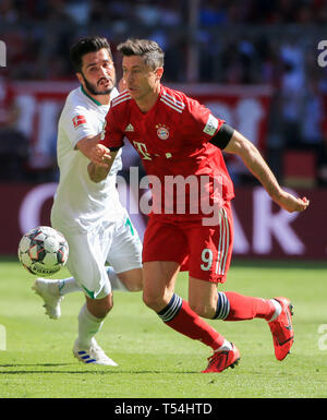 München, Deutschland. 20 Apr, 2019. Bayern München Robert Lewandowski (R) Mias mit Bremer Nuri Sahin während eines Deutschen Bundesligaspiel zwischen dem FC Bayern München und dem SV Werder Bremen in München, Deutschland, am 20. April 2019. Bayern München gewann 1:0. Credit: Philippe Ruiz/Xinhua/Alamy leben Nachrichten Stockfoto