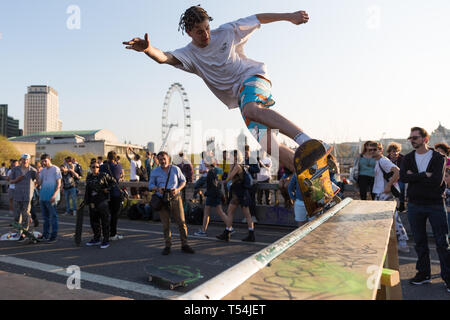 London, Großbritannien. 20. April 2019. Ein Skateboarder verwendet die Holzrampe bis durch den Klimawandel Aktivisten vor dem Aussterben Rebellion auf der Waterloo Bridge als Teil der internationalen Rebellion Tätigkeiten, die jetzt sechs Tage gedauert haben. Polizisten heute einen gemeinsamen Versuch, zu versuchen, die Brücke von Aktivisten zu löschen. Credit: Mark Kerrison/Alamy leben Nachrichten Stockfoto