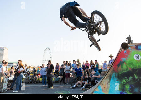 London, Großbritannien. 20. April 2019. Ein BMX-rider verwendet die Holzrampe bis durch den Klimawandel Aktivisten vor dem Aussterben Rebellion auf der Waterloo Bridge als Teil der internationalen Rebellion Tätigkeiten, die jetzt sechs Tage gedauert haben. Polizisten heute einen gemeinsamen Versuch, zu versuchen, die Brücke von Aktivisten zu löschen. Credit: Mark Kerrison/Alamy leben Nachrichten Stockfoto