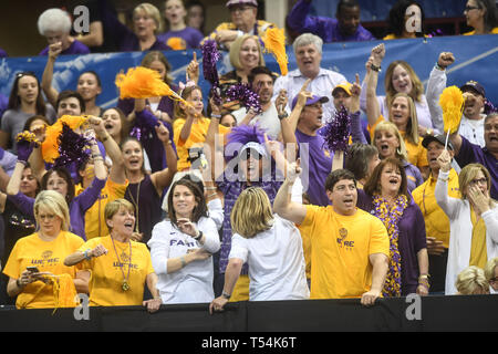 Fort Worth, Texas, USA. 20 Apr, 2019. LSU Fans jubeln während der Team Finale gehalten am Fort Worth Convention Center in Fort Worth, Texas. Credit: Amy Sanderson/ZUMA Draht/Alamy leben Nachrichten Stockfoto