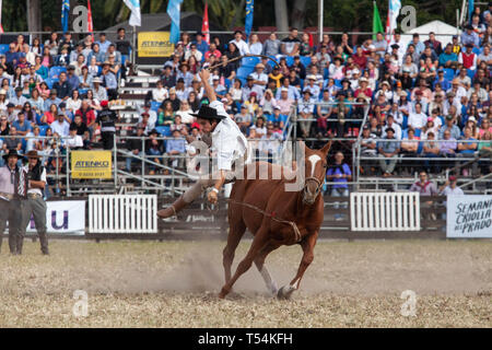 Montevideo, Uruguay. 20 Apr, 2019. Ein Gaucho (Cowboy) gesehen ein Pferd reiten während der 'Criolla Woche' Rodeo in Montevideo. Seit 1925 jährlich im April, die Criolla Woche Festival in Montevideo, wo Gaucho (Cowboy) Fahrt wilde Pferde gefeiert Tradition des Landes zu verewigen. Neben dem Rodeo show gibt es mehrere Musicals und die traditionelle Gastronomie. Credit: SOPA Images Limited/Alamy leben Nachrichten Stockfoto