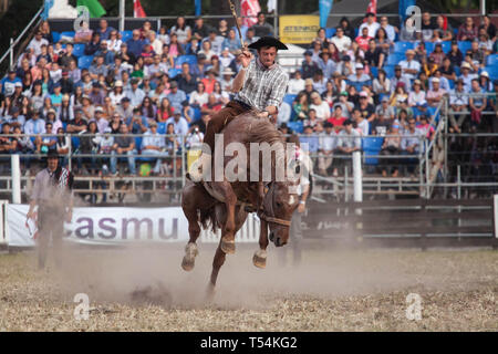 Montevideo, Uruguay. 20 Apr, 2019. Ein Gaucho (Cowboy) gesehen ein Pferd reiten während der 'Criolla Woche' Rodeo in Montevideo. Seit 1925 jährlich im April, die Criolla Woche Festival in Montevideo, wo Gaucho (Cowboy) Fahrt wilde Pferde gefeiert Tradition des Landes zu verewigen. Neben dem Rodeo show gibt es mehrere Musicals und die traditionelle Gastronomie. Credit: SOPA Images Limited/Alamy leben Nachrichten Stockfoto