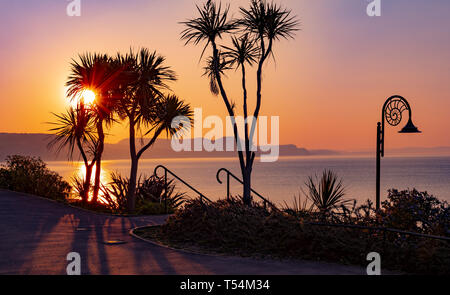 Lyme Regis, Dorset, Großbritannien. 21. April 2019. UK Wetter: Die Sonne bricht durch die Palmen, die mit einem der legendären Ammonit Straßenlaternen der Stadt, gegen einen klaren Himmel wie die Sonne Silhouette sind über Golden Cap und der Jurassic Coast am Ostersonntag steigt. Credit: Celia McMahon/Alamy leben Nachrichten Stockfoto