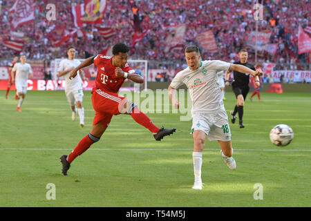 München, Deutschland. 20 Apr, 2019. goalchance Serge GNABRY (FC Bayern München), Aktion, Duelle gegen Niklas Moisander (Werder Bremen). Fussball 1. 1. Fussballbundesliga, 30. Spieltag, Spieltag 30, Bayern München M) - SV Werder Bremen (HB), am 20.04.2019 in München ALLIANZARENA, DFL-BESTIMMUNGEN VERBIETEN DIE VERWENDUNG DER FOTOGRAFIE ALS BILD-SEQUENZEN UND/ODER QUASI-VIDEO. | Verwendung der weltweiten Kredit: dpa/Alamy leben Nachrichten Stockfoto