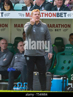 Easter Road Stadium, Edinburgh, Midlothian, Großbritannien. 21 Apr, 2019. Ladbrokes schottischen Premiereship - Hibernian v Celtic. Bild zeigt: Keltischer Manager, Neil Lennon, der in der zweiten Hälfte als Hibs spielen Wirt zu Celtic bei Easter Road Stadium, Edinburgh Credit: Ian Jacobs/Alamy leben Nachrichten Stockfoto