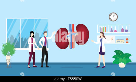 Menschlichen nieren Anatomie Struktur Gesundheitswesen checkup Analyse Identifikation von Doktor Menschen auf der Krankenhaus-Vector Illustration Stockfoto