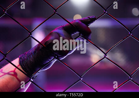 Rückansicht eines Schiedsrichters eine schwarz behandschuhten Hand auf einem Metallgitter in einem achteckigen Szene. Männliche Richter im Mixed Martial Arts, MMA-Turniere. Ein Konze Stockfoto