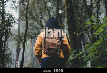 Asiatische Frau backpacker Arme an foerest auf natürlichen Wege, Ferienhäuser Urlaub im Regenwald Stockfoto