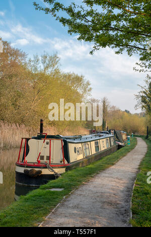 Kanal Boote auf der Oxford canal Am frühen Morgen Frühling Sonnenlicht. Shipton auf Cherwell, Oxfordshire, England Stockfoto