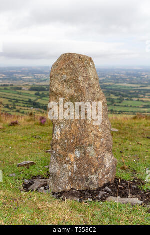 Nahaufnahme von einer der neun Steine, Mount Leinster in der Nähe von Bunclody, County Carlow, Irland. Stockfoto