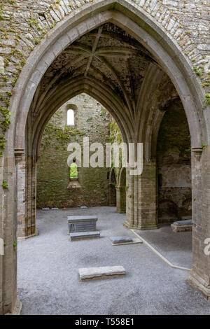 Jerpoint Abbey, eine zerstörte Zisterzienserabtei, Thomastown, County Kilkenny, Irland. Stockfoto