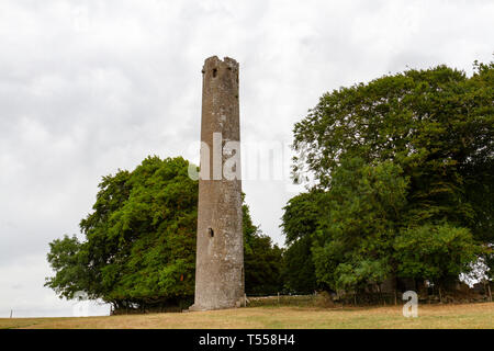 Der Stein, runden Turm auf der Kilree Klosteranlage, die mit einem Stein hohe Kreuz und Kirchenruine, County Kilkenny, Irland. Stockfoto