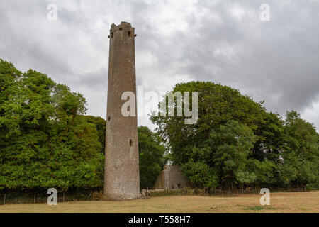 Der Stein, runden Turm auf der Kilree Klosteranlage, die mit einem Stein hohe Kreuz und Kirchenruine, County Kilkenny, Irland. Stockfoto