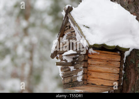 Holz- Vogelhaus. Haus für Vögel im Winter Forest Stockfoto