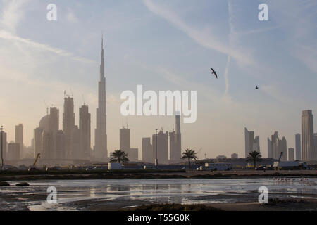 UAE, Dubai, Dubai Creek (Khor Dubai), Ras Al-Khor Wildlife Sanctuary, Flamingo (Phoenicopterus Roseus) und die Skyline der Stadt. Stockfoto