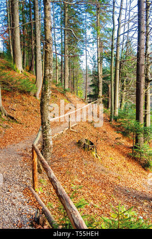 Wanderweg durch Wald im Spätherbst. hölzernen Zaun entlang der Kante. schöne Natur Hintergrund Oktober Stockfoto