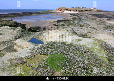 Blick auf hilbre Island aus dem Mittleren Auge, Dee Estuary, Wirral, Großbritannien Stockfoto