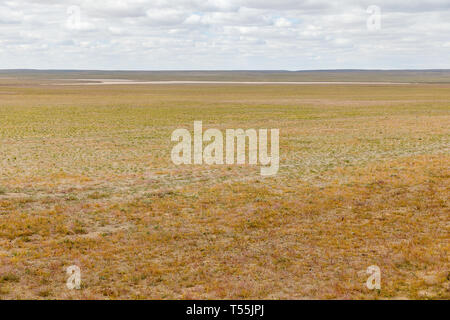 Die Gobi, die typische Mongolische Landschaft, Landschaft der Wüste Gobi in der Mongolei Stockfoto