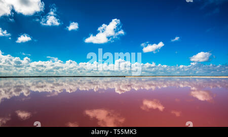 Salz Rosa Lagune in Las Coloradas, Yucatan, Mexiko Stockfoto