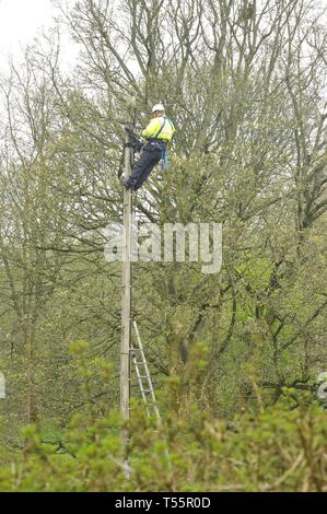 Openreach Engineer arbeiten Telefonmast Stockfoto