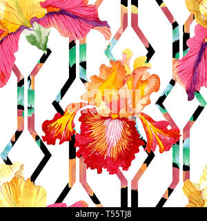 Rot fett Begegnung iris Blumen botanischen Blumen. Aquarell Hintergrund Abbildung. Nahtlose Muster. Stockfoto