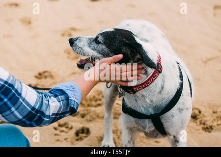 Frau streicheln Ihren Hund am Strand. Stockfoto