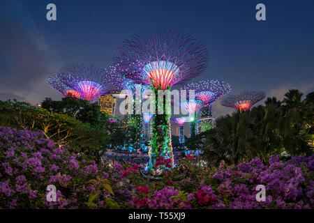 Singapur - 16. April: Traveller gehen die erstaunliche Beleuchtung von Super tree Grove Licht und Sound Show im Garten, um zu sehen, durch die Bucht am April 16,2019. Stockfoto