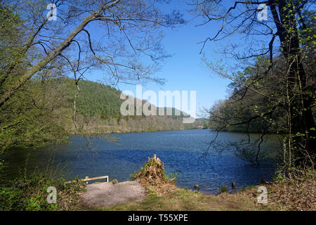 Badesee Seehof, Erlenbach bei Dahn, Wasgau, Rheinland-Pfalz, Deutschland Stockfoto