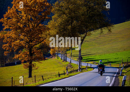 Land straße im Tal, in der Nähe der Sorpetal Obersorpe, Herbst, landschaft, wald, Sauerland, Deutschland, Stockfoto