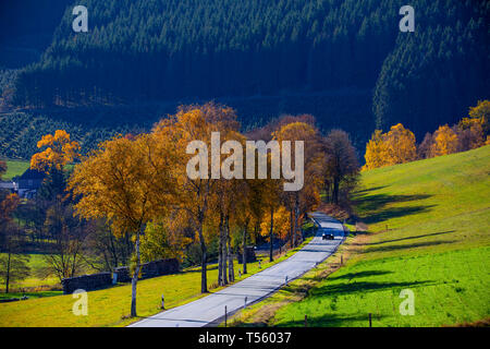 Land straße im Tal, in der Nähe der Sorpetal Obersorpe, Herbst, landschaft, wald, Sauerland, Deutschland, Stockfoto