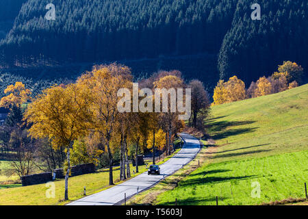 Land straße im Tal, in der Nähe der Sorpetal Obersorpe, Herbst, landschaft, wald, Sauerland, Deutschland, Stockfoto