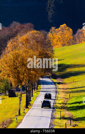 Land straße im Tal, in der Nähe der Sorpetal Obersorpe, Herbst, landschaft, wald, Sauerland, Deutschland, Stockfoto