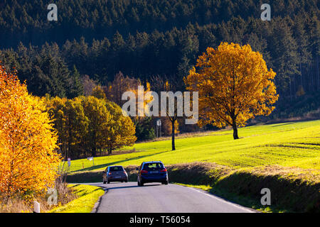 Land straße im Tal, in der Nähe der Sorpetal Obersorpe, Herbst, landschaft, wald, Sauerland, Deutschland, Stockfoto